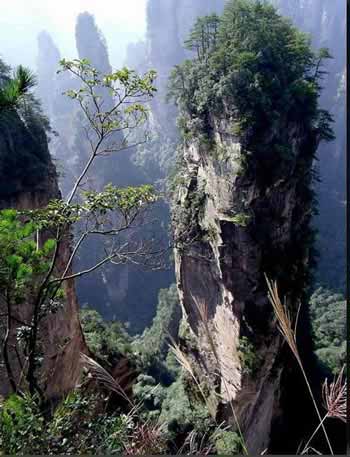 長(zhǎng)沙出發(fā)到張家界溶洞奇觀黃龍洞、國(guó)家森林公園、袁家界、峰林之王天子山三日游（早班）