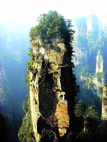 張家界國家地質(zhì)森林公園、黃石寨、金鞭溪休閑一日游