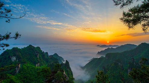 張家界森林公園（金鞭溪、袁家界、楊家界、天子山、十里畫廊）住山上2天1游（可看日出）